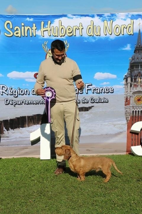 Du Broussis Des Chênes Rouges - Beau doublé à l'exposition du Touquet Paris plage Dog Show