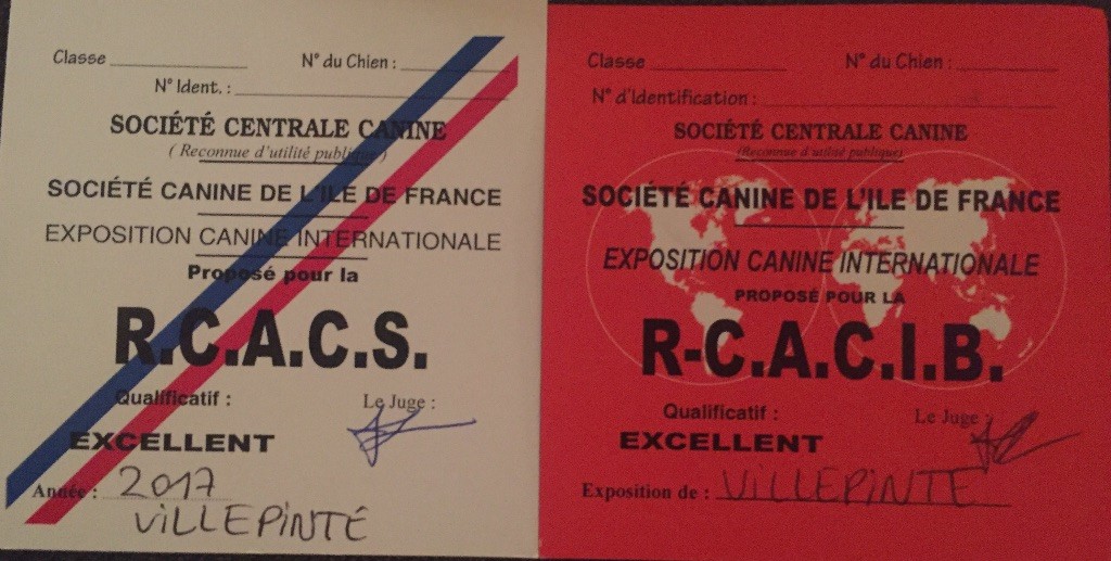 Du Broussis Des Chênes Rouges - Exposition de Villepinte Luchino RCACS/RCACIB