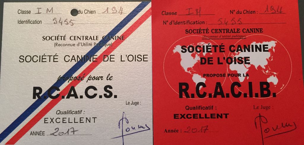 Du Broussis Des Chênes Rouges - Exposition de Compiègne Luchino RCACS/RCACIB