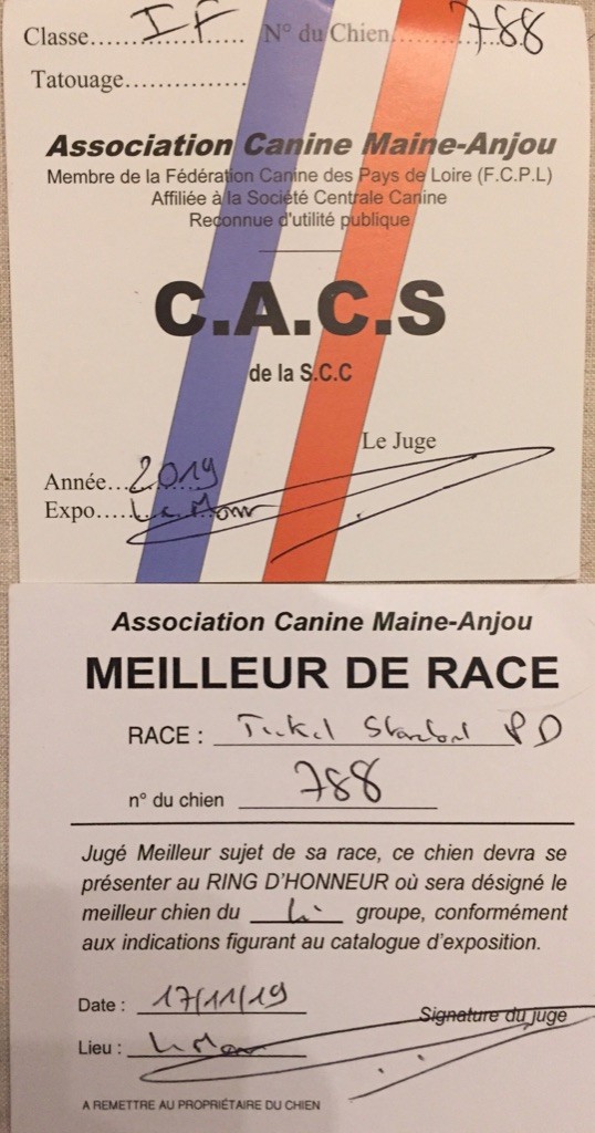 Du Broussis Des Chênes Rouges - O Bella Ciao meilleur de Race à l'exposition  du Mans