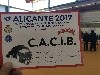  - Alicante 3/12/2017 Vita CACIB + CACS